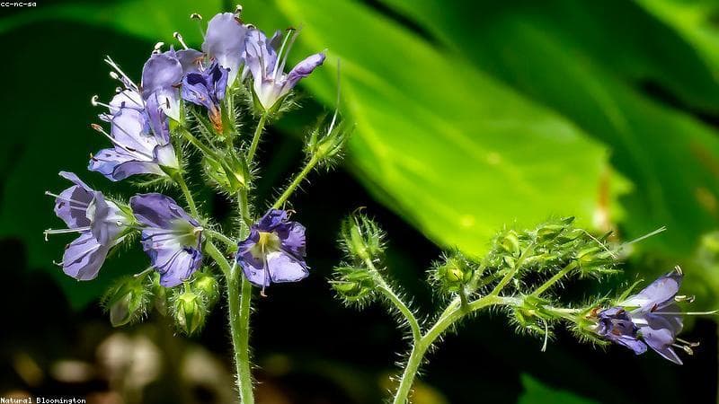 Eco-Tourism: Berlibur Asyik Tanpa Merusak Pelosok Bumi